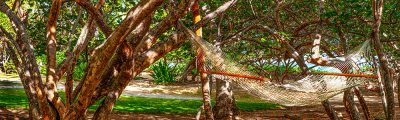 Sun, Shade, Sway