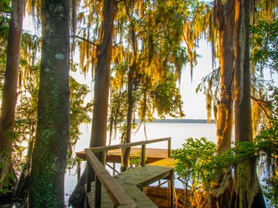 Newnan's Lake