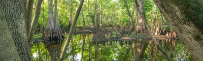 Gee Creek