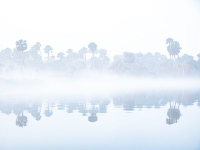Fog On The River