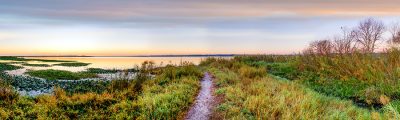 The Path To The Lake
