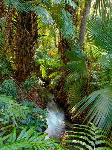 Along Green Springs Run
