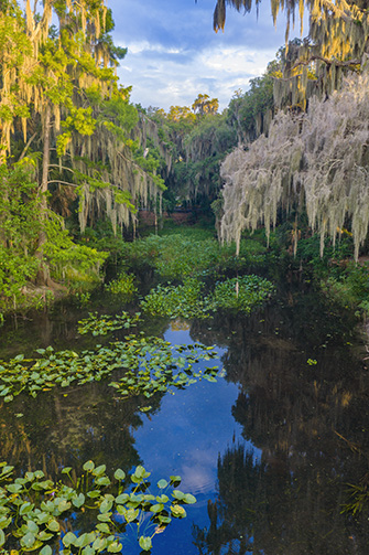 Real Good Florida
